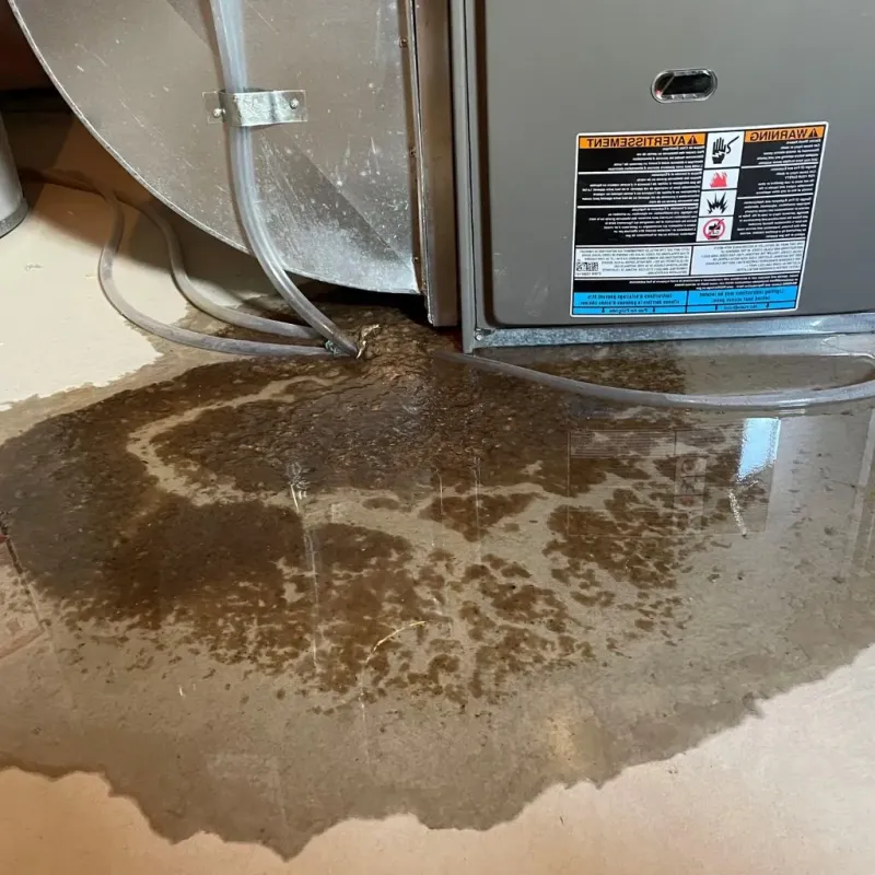 Pipe Burst and Leak Restoration in Westford, MA